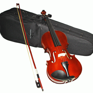 VALENCIA SV214 14″ INCH VIOLA OUTFIT CASE, BOW & ROSIN with PRO SET UP - FREE P+H!