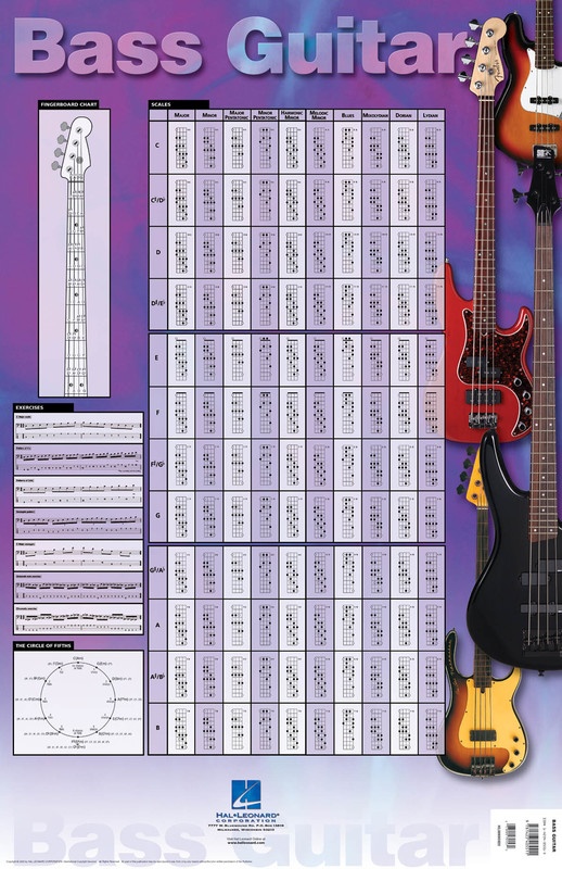 Bass Guitar Wall Chart 23 inch. x 35 inch Colour Poster – South Coast Music
